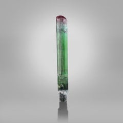 Natural Specimen Of Bi Color Tourmaline Crystal Scepter From Afghanistan