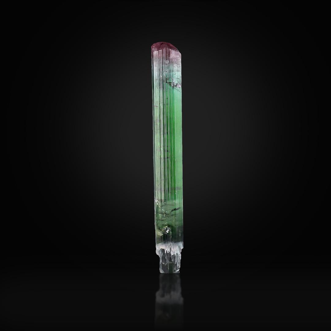 Art Déco Esemplare naturale di scettro in cristallo di tormalina bicolore proveniente dall'Afghanistan in vendita