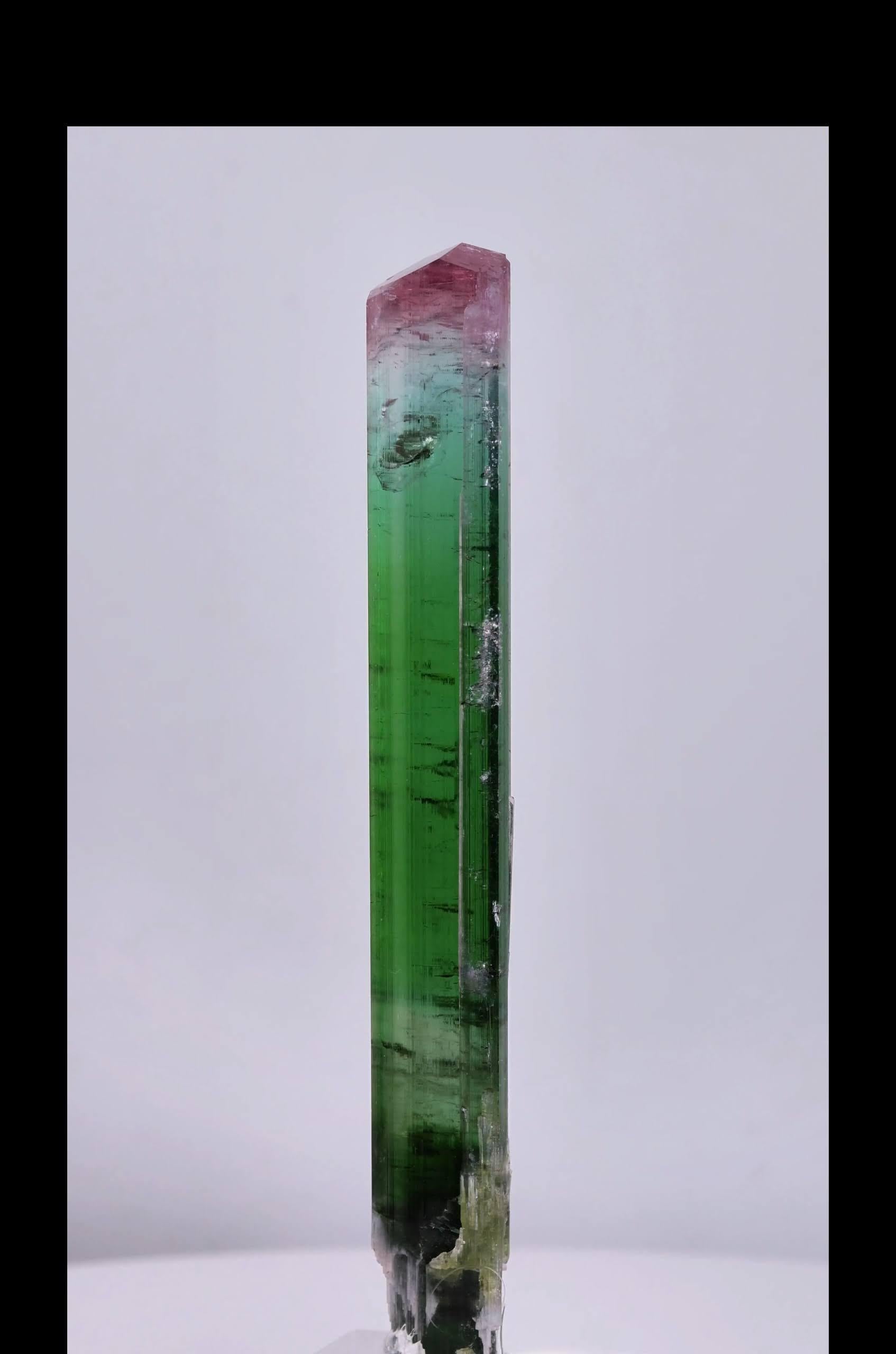 Afghano Esemplare naturale di scettro in cristallo di tormalina bicolore proveniente dall'Afghanistan in vendita