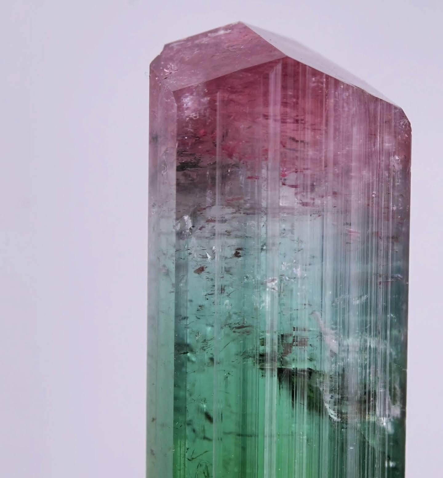Esemplare naturale di scettro in cristallo di tormalina bicolore proveniente dall'Afghanistan In condizioni ottime in vendita a Peshawar, PK