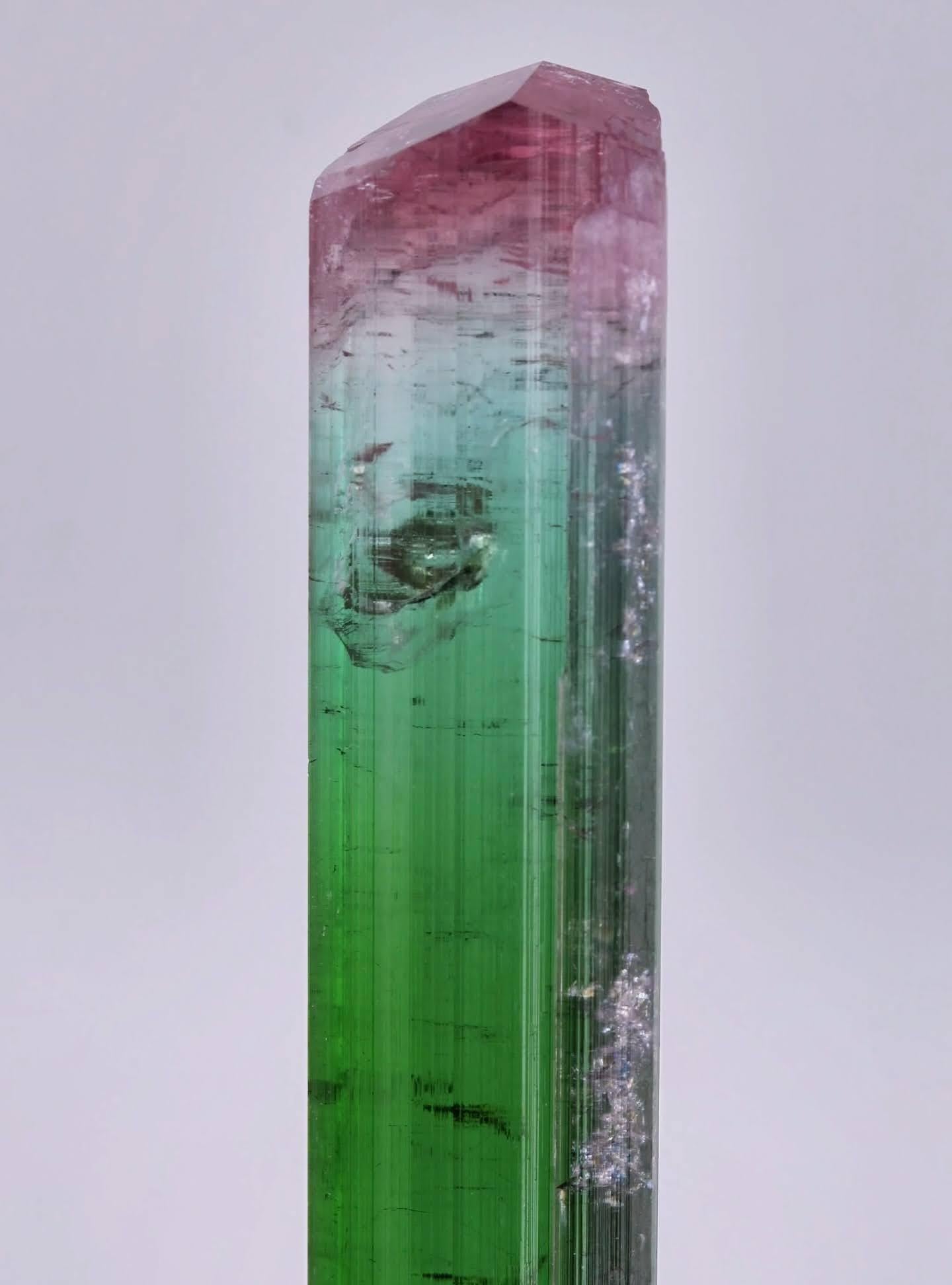 XXI secolo e contemporaneo Esemplare naturale di scettro in cristallo di tormalina bicolore proveniente dall'Afghanistan in vendita