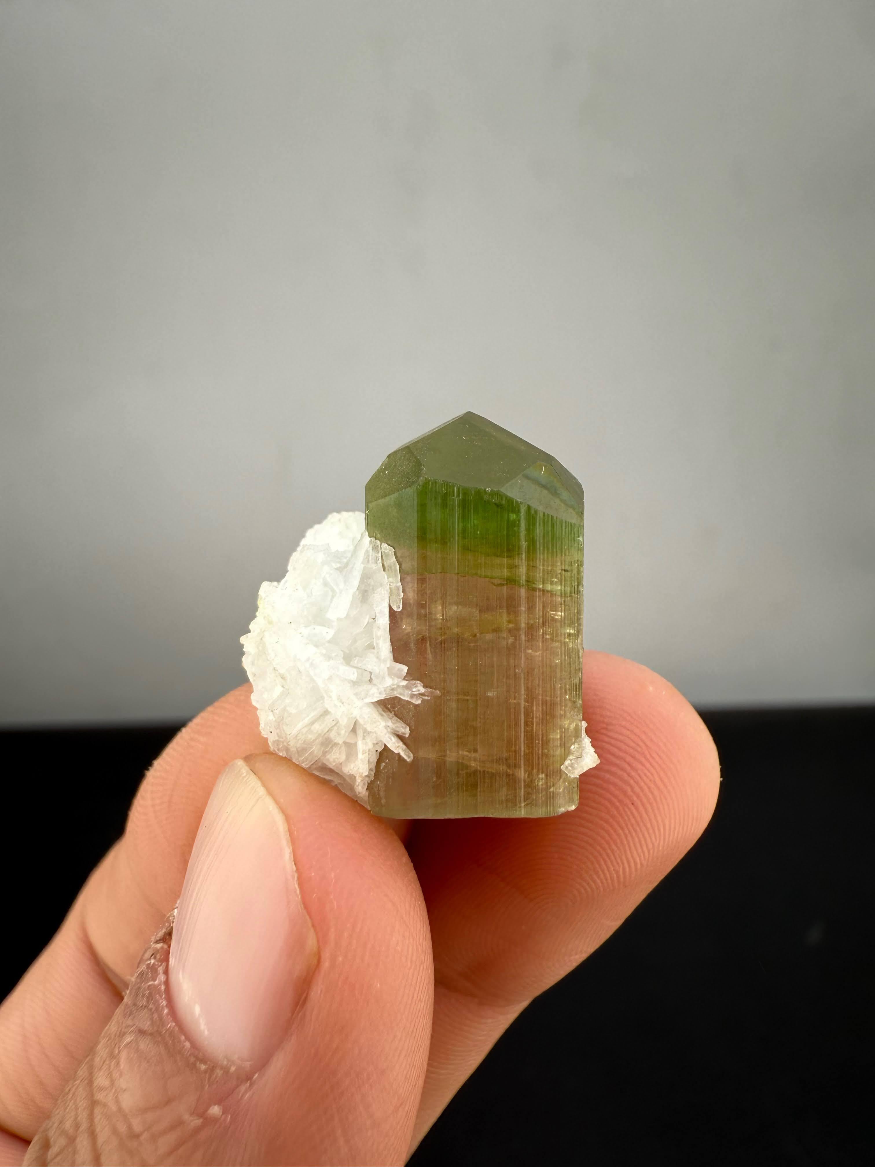 Colorful Albite Natural Specimen Of Bi Color Tourmaline Crystal With Albite From ...