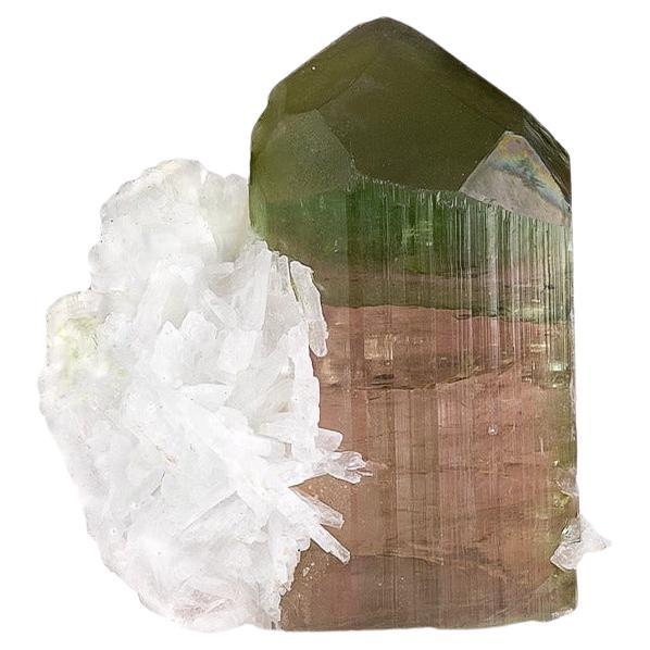 Esemplare naturale di cristallo di tormalina bicolore con albite dall'Afghanistan