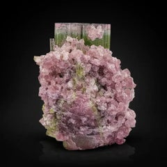 Espécimen natural de cristal de turmalina bicolor con lepidolita procedente de Afganistán