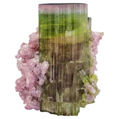 Natural Specimen Of Bi Color Tourmaline Crystal With Lepidolite From Afghanistan