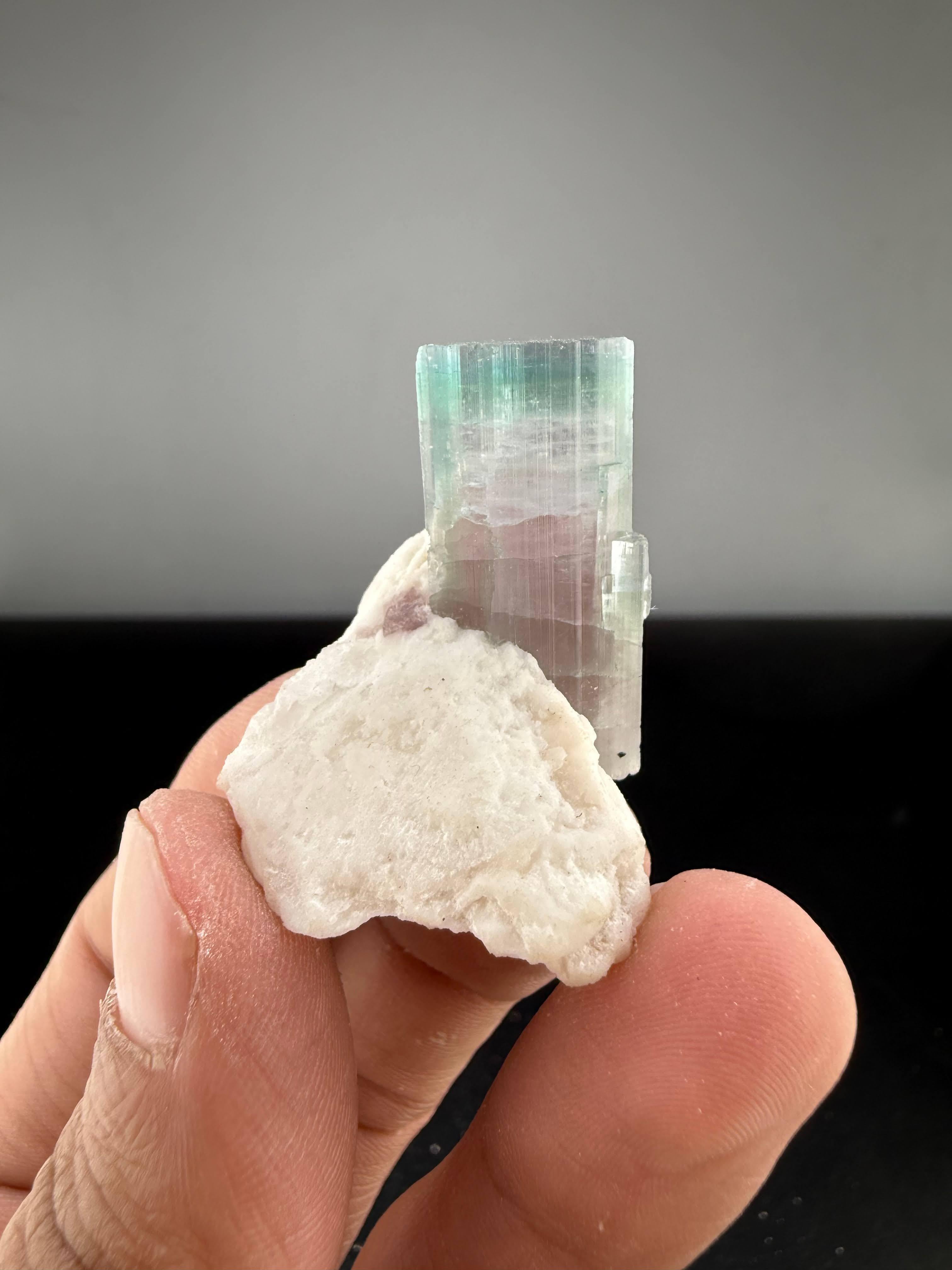 Stile Adam Natural Specimen Of Bi Color Tourmaline On Albite From Afghanistan in vendita