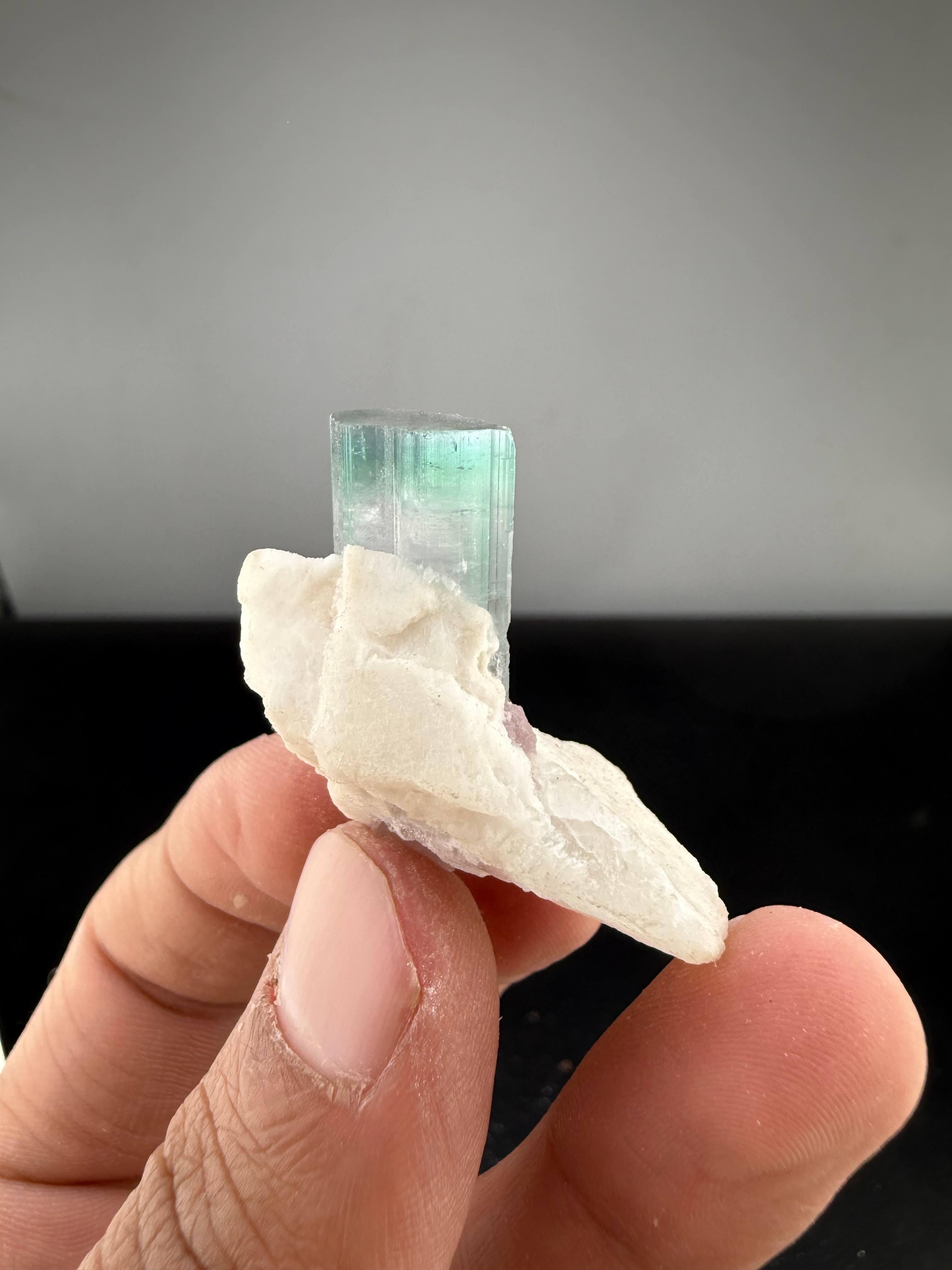 Afghano Natural Specimen Of Bi Color Tourmaline On Albite From Afghanistan in vendita