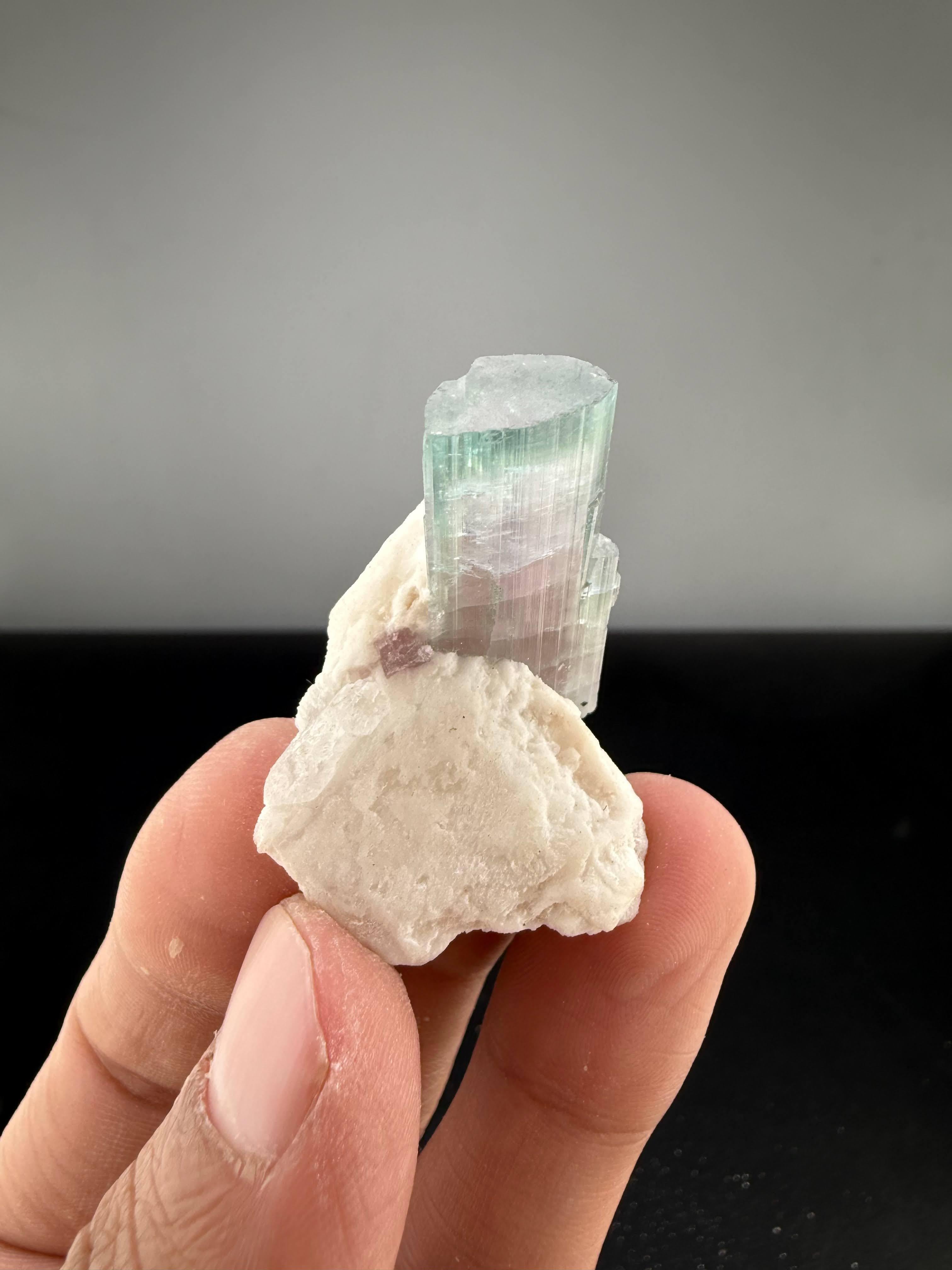 Natural Specimen Of Bi Color Tourmaline On Albite From Afghanistan In condizioni buone in vendita a Peshawar, PK