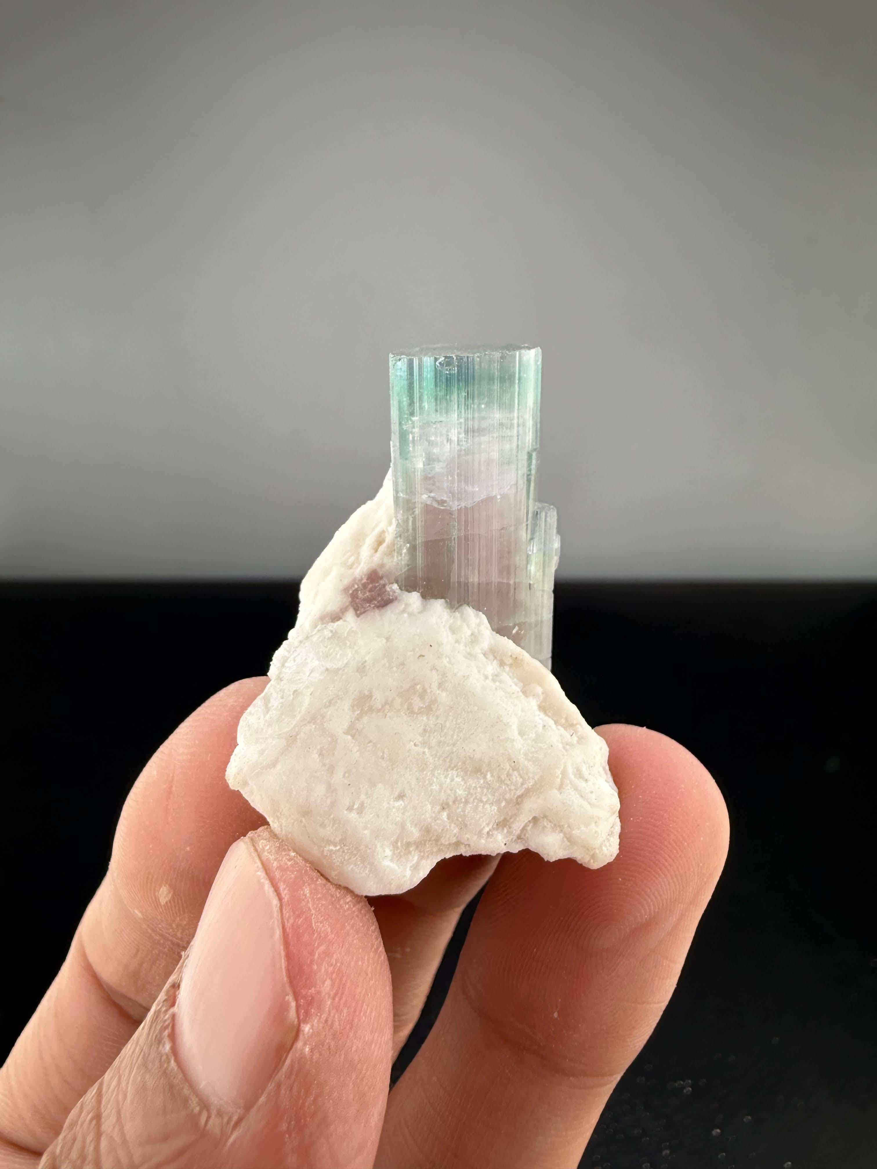 XXI secolo e contemporaneo Natural Specimen Of Bi Color Tourmaline On Albite From Afghanistan in vendita