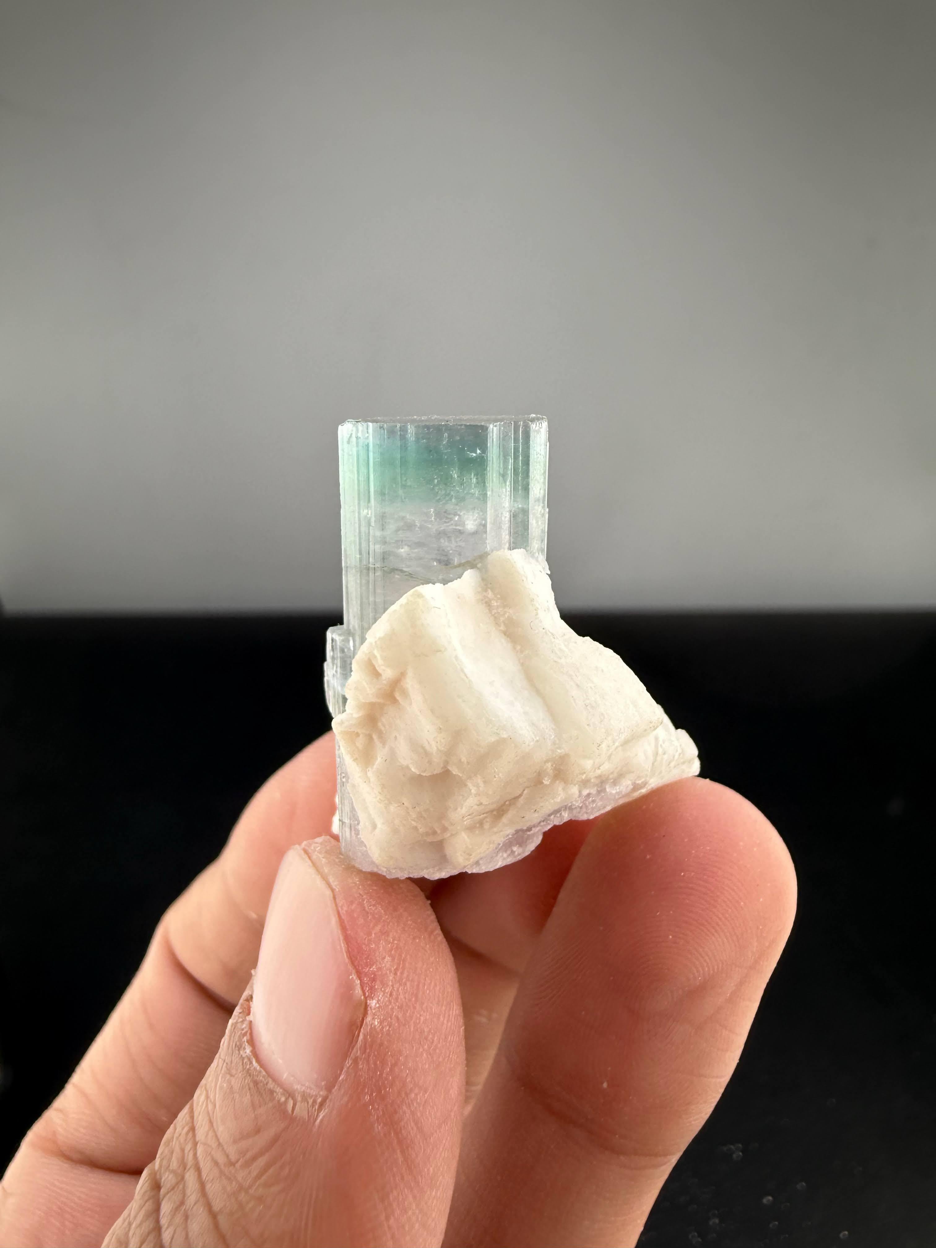 Cristallo Natural Specimen Of Bi Color Tourmaline On Albite From Afghanistan in vendita