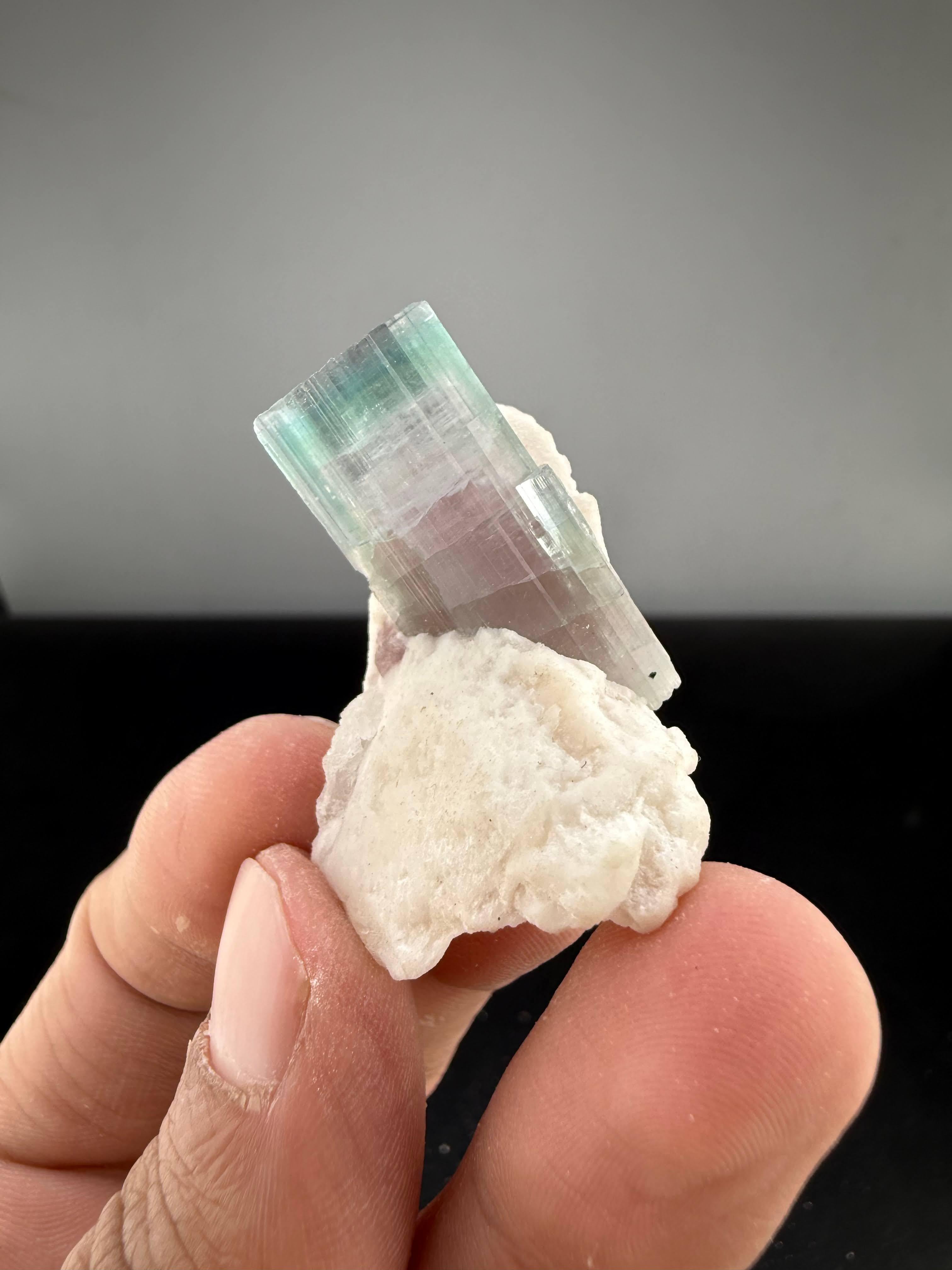 Natural Specimen Of Bi Color Tourmaline On Albite From Afghanistan in vendita 2