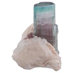 Natürliches Exemplar von zweifarbigem Turmalin auf Albit aus Afghanistan