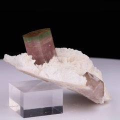 Spécimen naturel de Tourmaline bicolore sur Cleavelandite d'Afghanistan