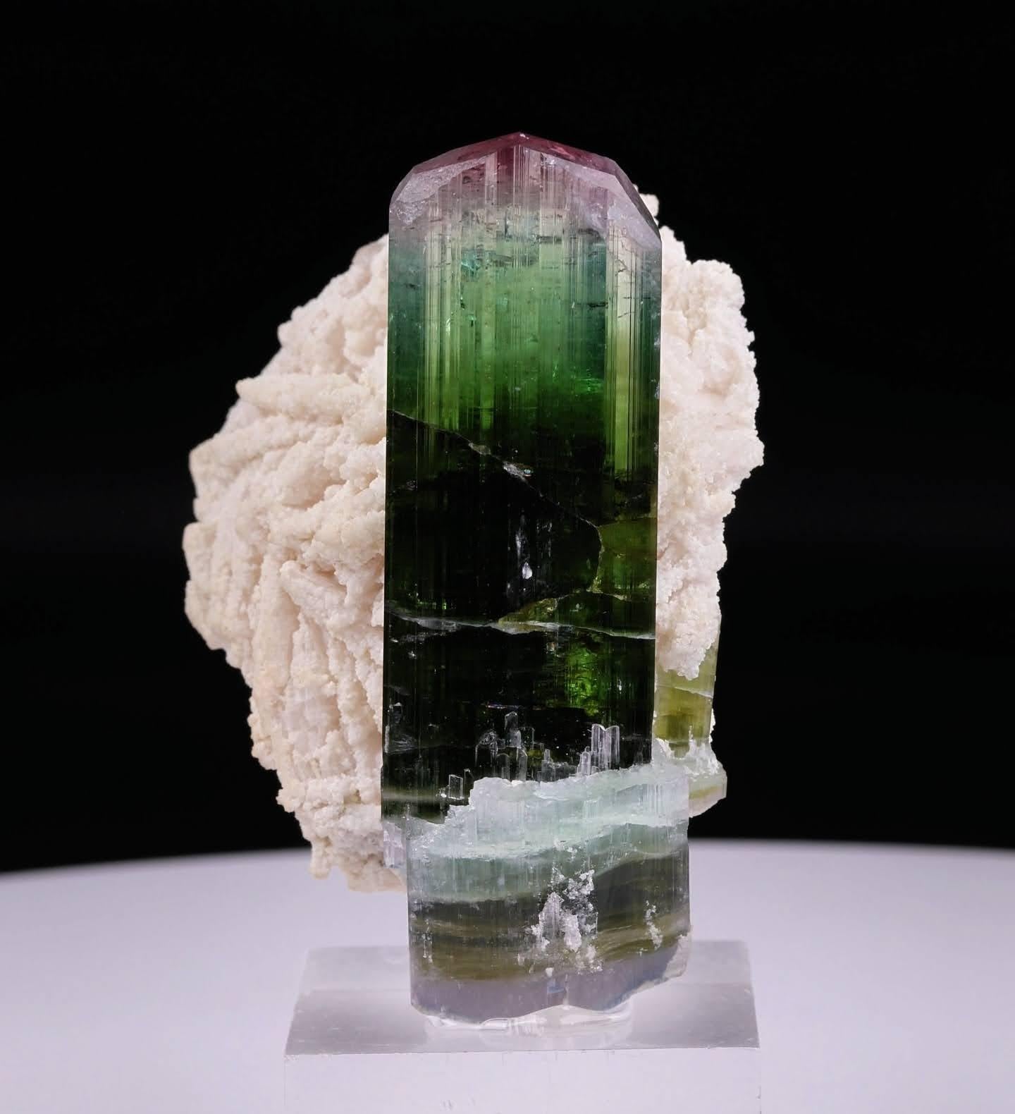 Natürliches Exemplar eines zweifarbigen Turmalins auf Cleavelandit aus Afghanistan (Afghanisch) im Angebot