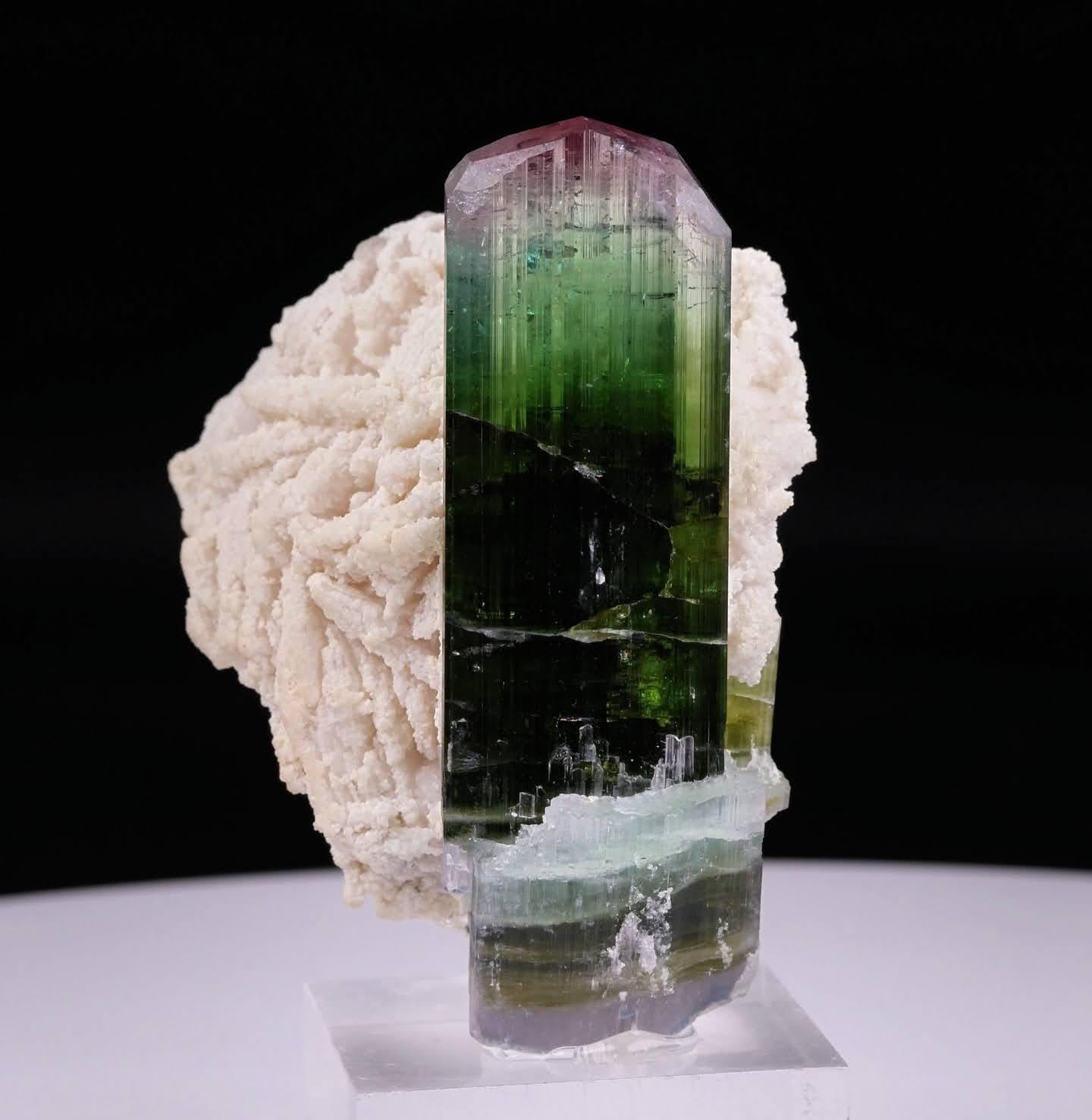 Natürliches Exemplar eines zweifarbigen Turmalins auf Cleavelandit aus Afghanistan (Kristall) im Angebot