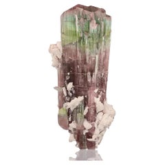 Natural Specimen Of Bi Color Tourmaline With Albite Form Pakistan