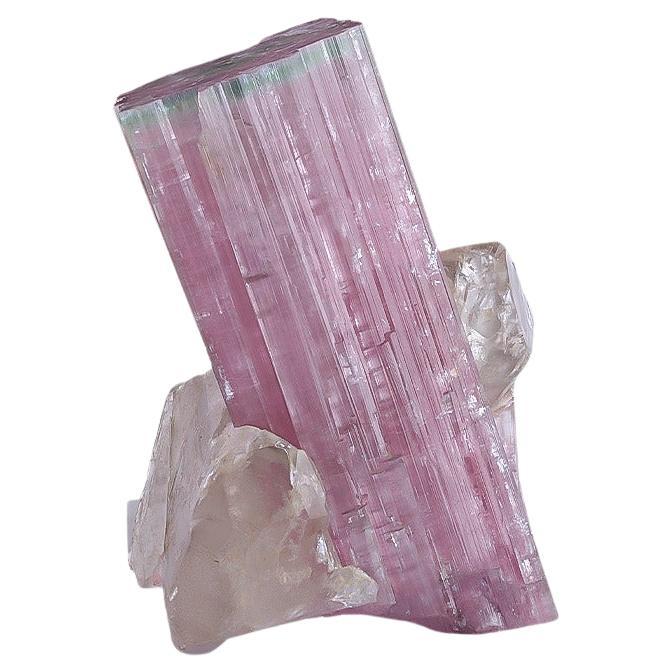 Natural Specimen Of Bi Color Tourmaline With Quartz Crystals From Afghanistan