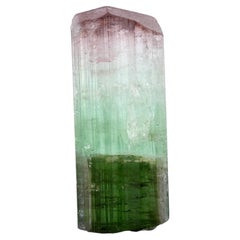 Natural Specimen Of Bicolor Single Tourmaline Crystal From Afghanistan