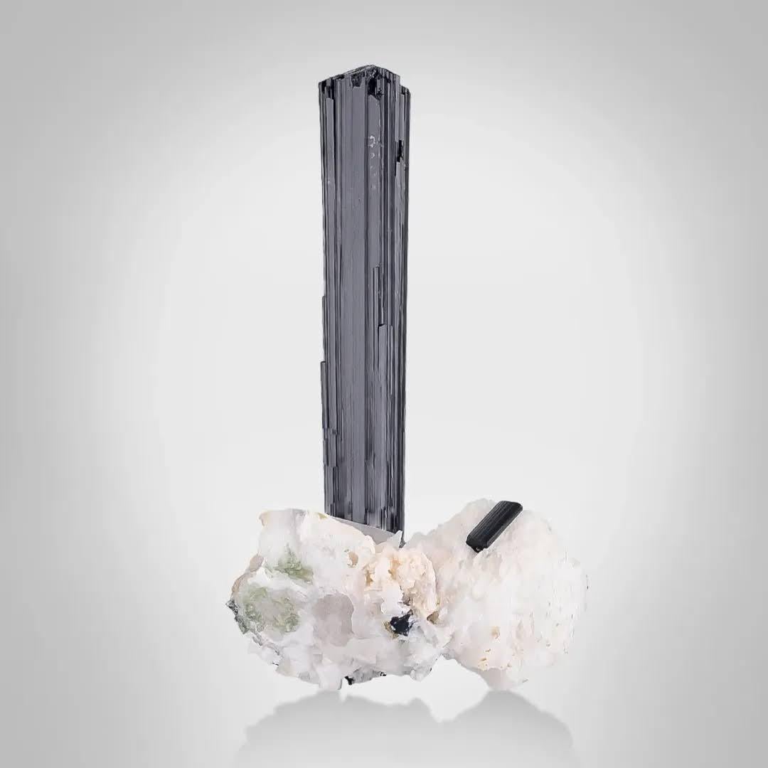 Type de spécimen : Schorl sur quartz 
Poids : 191 grammes
Dimensions : H : 14 x L : 8 x P : 5 cm : H : 14 x L : 8 x P : 5 cm
Origine : Vallée de Shigar, district de Skardu, province de Gilgit Baltistan, Pakistan 
Traitement : Aucun




Ce spécimen