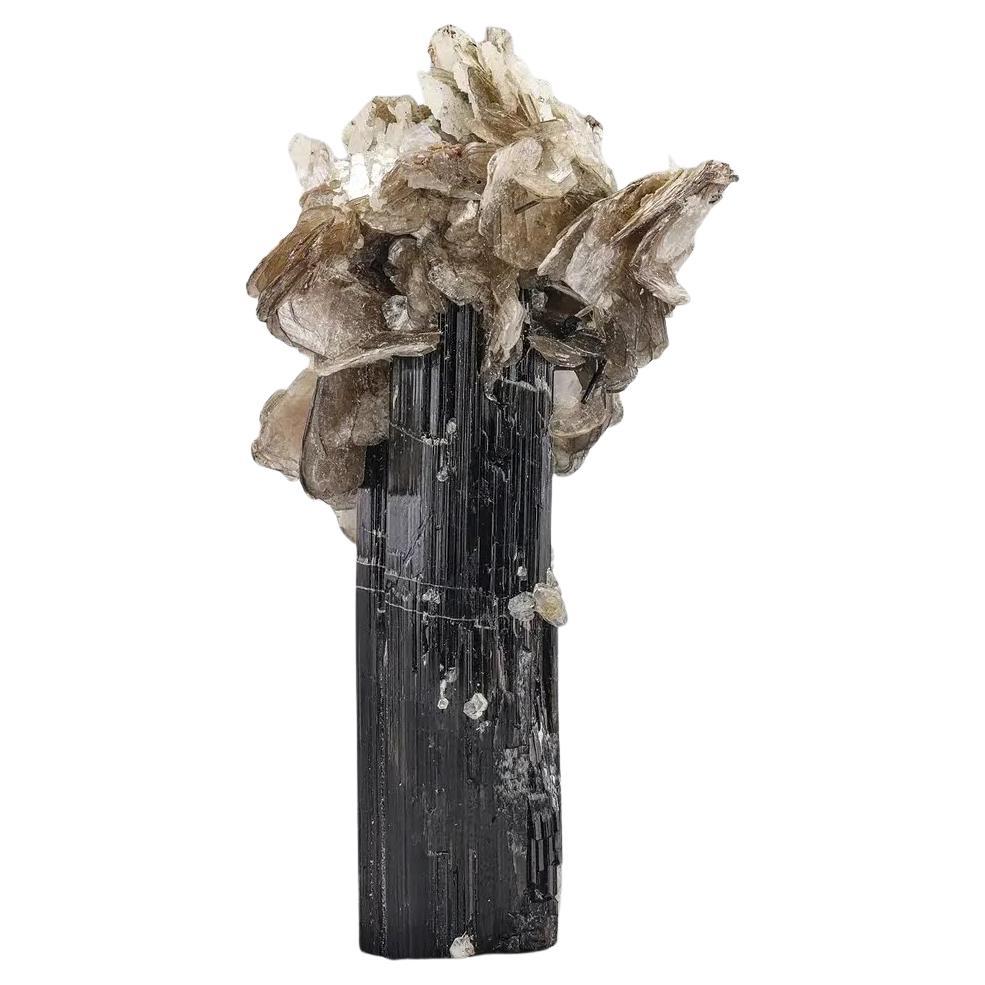 Specimen naturale di scorl nero con cristalli di muscovite dal Pakistan