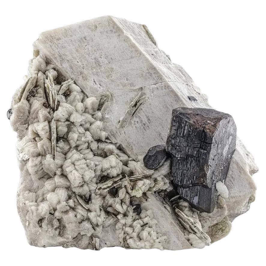 Natural Specimen Of Black Tantalite Crystal on Albite From Afghanistan