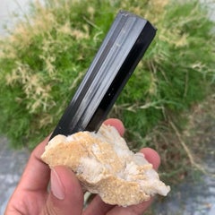 Natürliches Exemplar eines schwarzen Turmalinkristalls mit Albit aus Pakistan