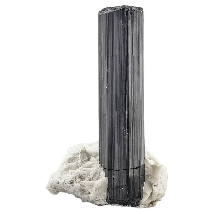 Natural Specimen Of Black Tourmaline Crystal With Albite From Pakistan