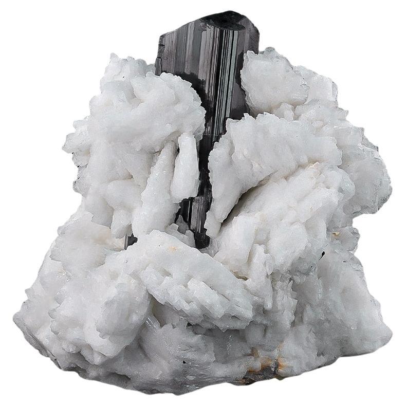 Natural Specimen Of Black Tourmaline On Albite From Pakistan