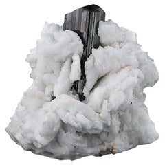 Esemplare naturale di tormalina nera su albite dal Pakistan