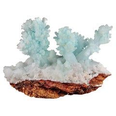 Ejemplar natural de un racimo de aragonita azul sobre limonita procedente de Pakistán