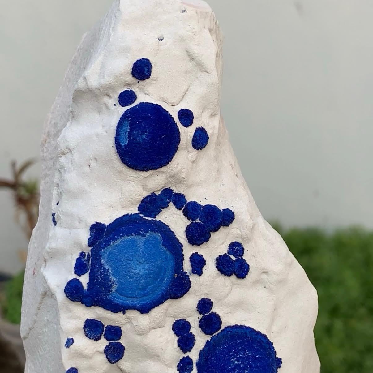 XXI secolo e contemporaneo Esemplare naturale di cristalli di azzurrite su caolinite dall'Australia in vendita