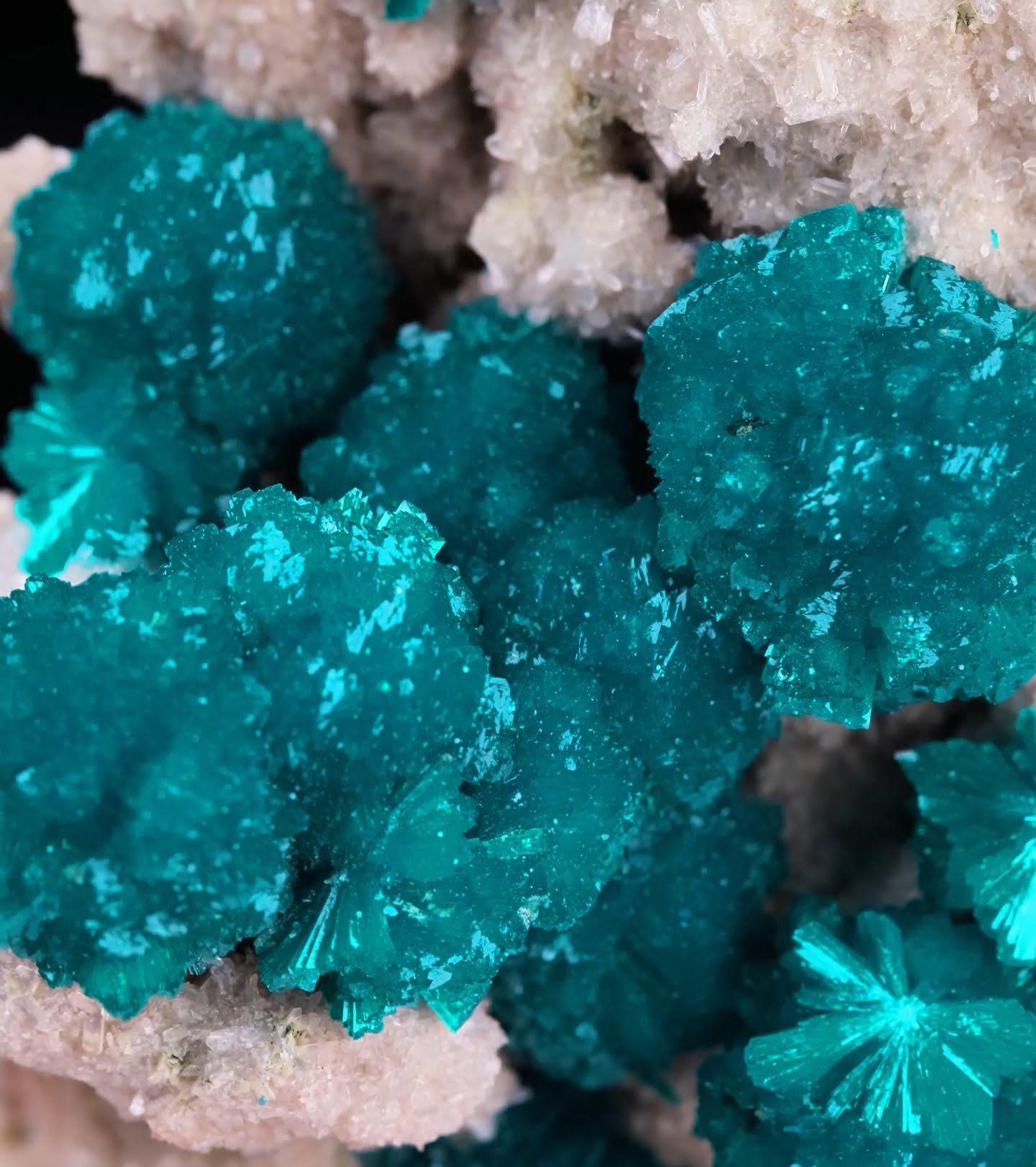 Natural Specimen Of Blue Cavansite Crystals On Matrix From India en venta 3