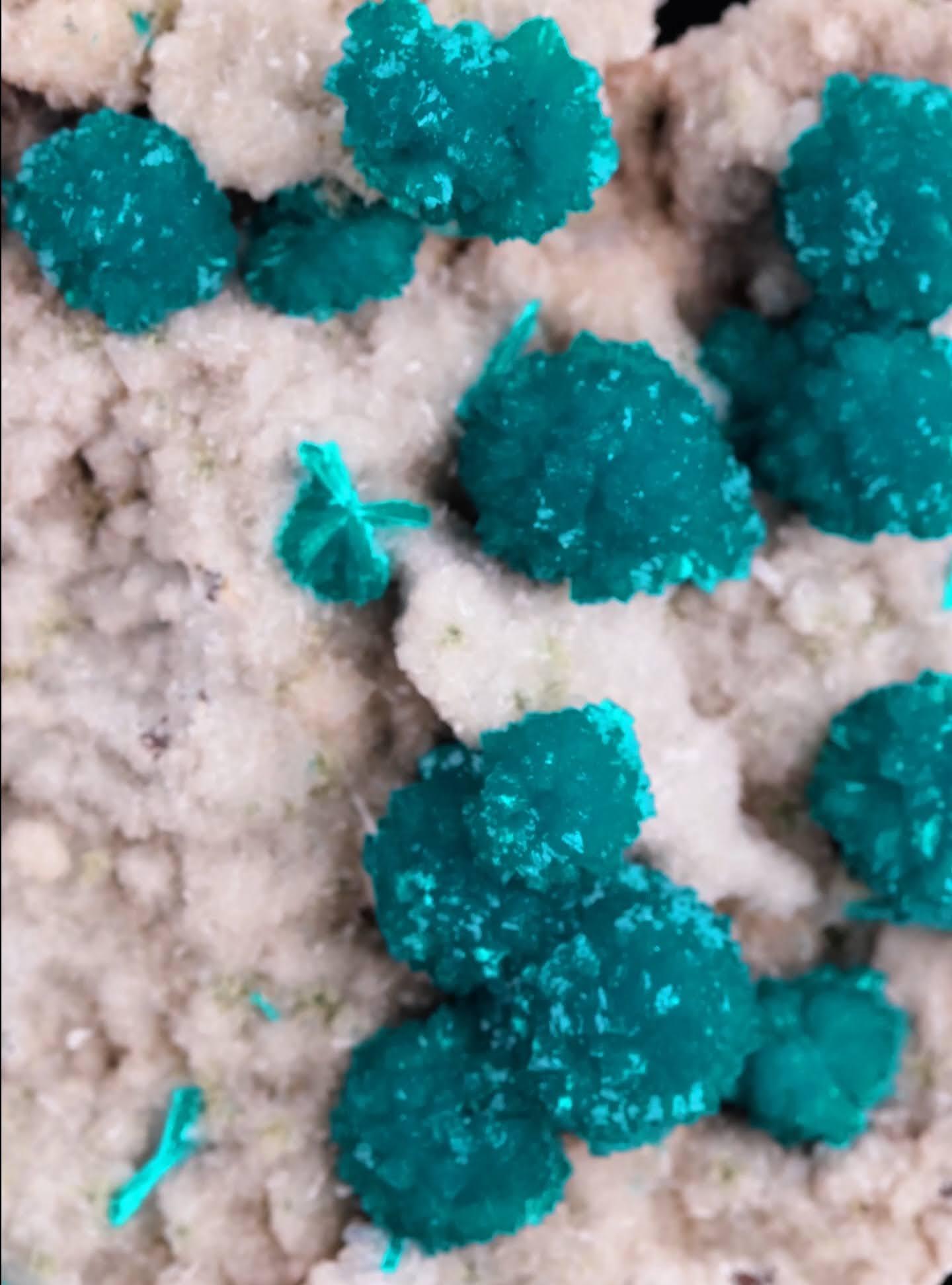 Natural Specimen Of Blue Cavansite Crystals On Matrix From India en venta 4