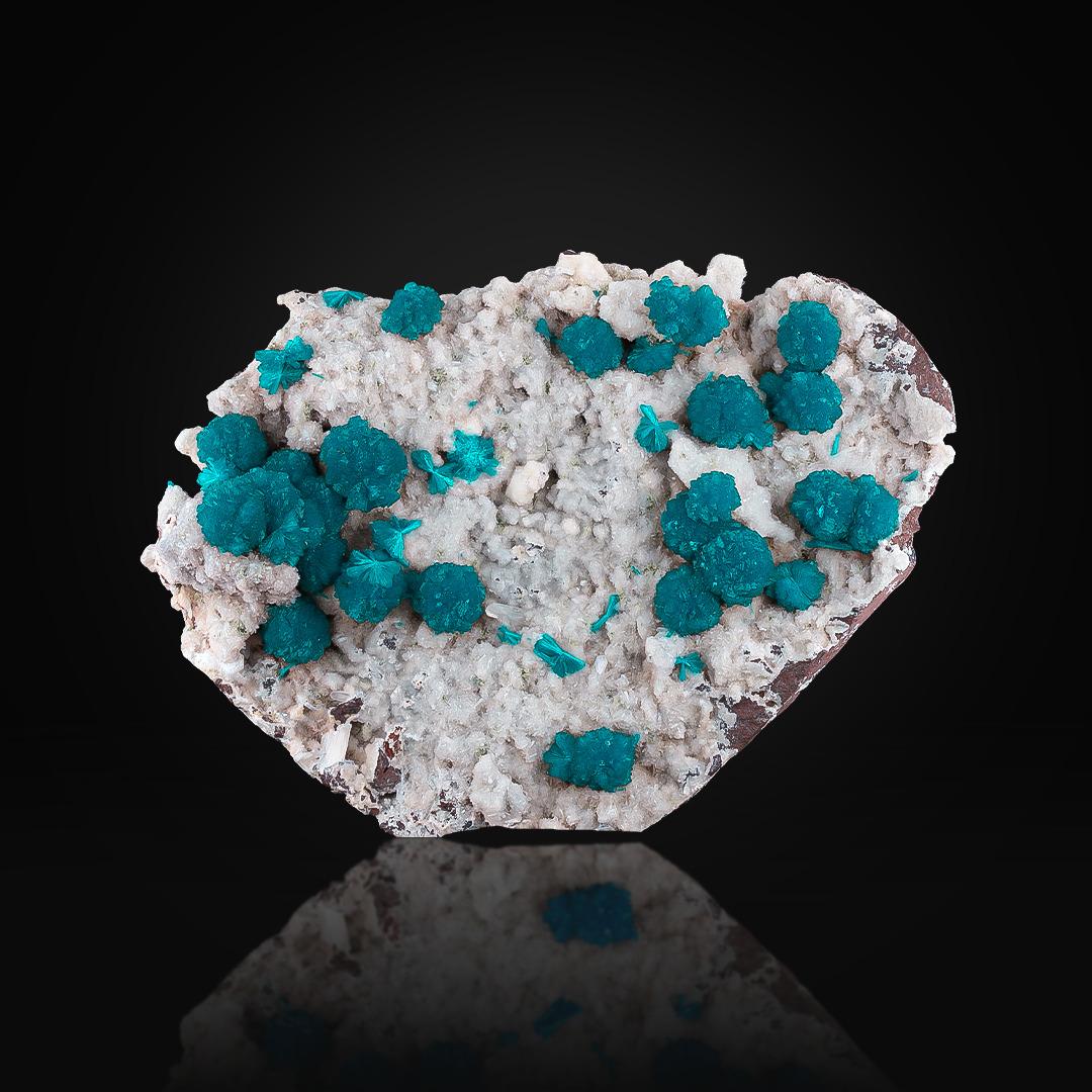 Specimen Type: Cavansite 
Weight: 507 grams
Dimension: H: 10.3 x W: 14 x D: 4.8 cm 
Origin: Wagholi Quarries, Wagholi, Pune District, Maharashtra, India 
Treatment: None




This natural specimen features vibrant blue cavansite crystals beautifully