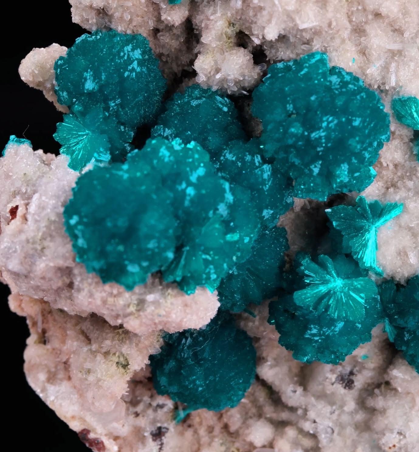 Natural Specimen Of Blue Cavansite Crystals On Matrix From India Indio en venta