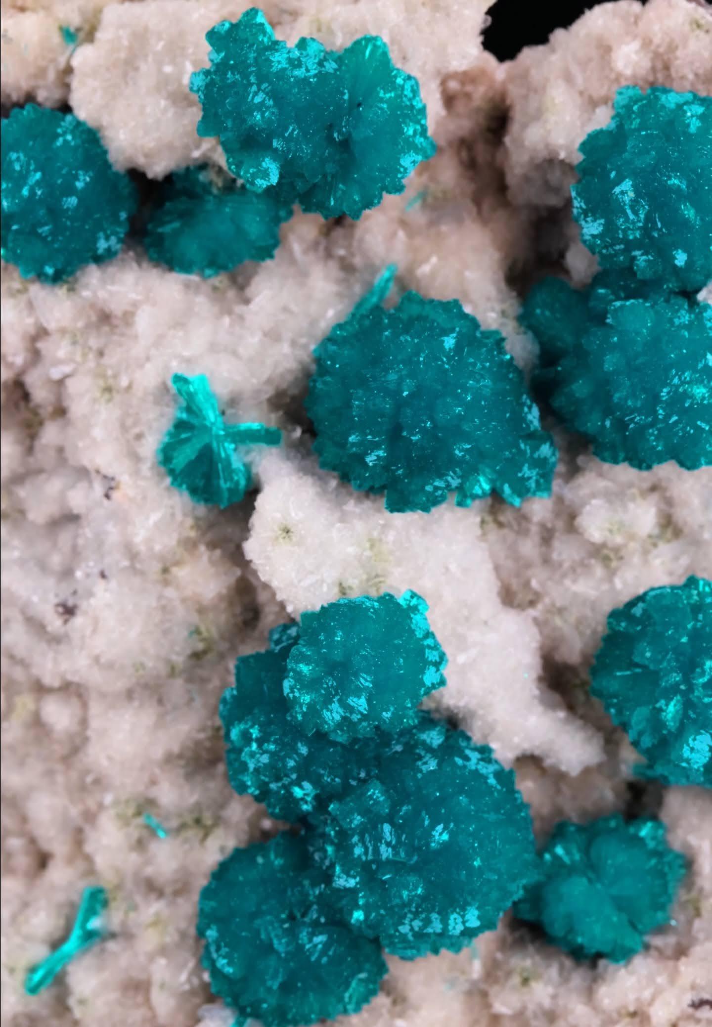 Natural Specimen Of Blue Cavansite Crystals On Matrix From India en venta 1