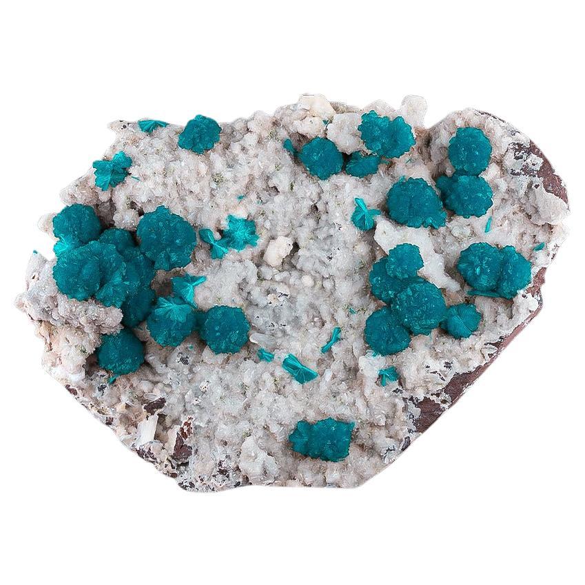 Natural Specimen Of Blue Cavansite Crystals On Matrix From India