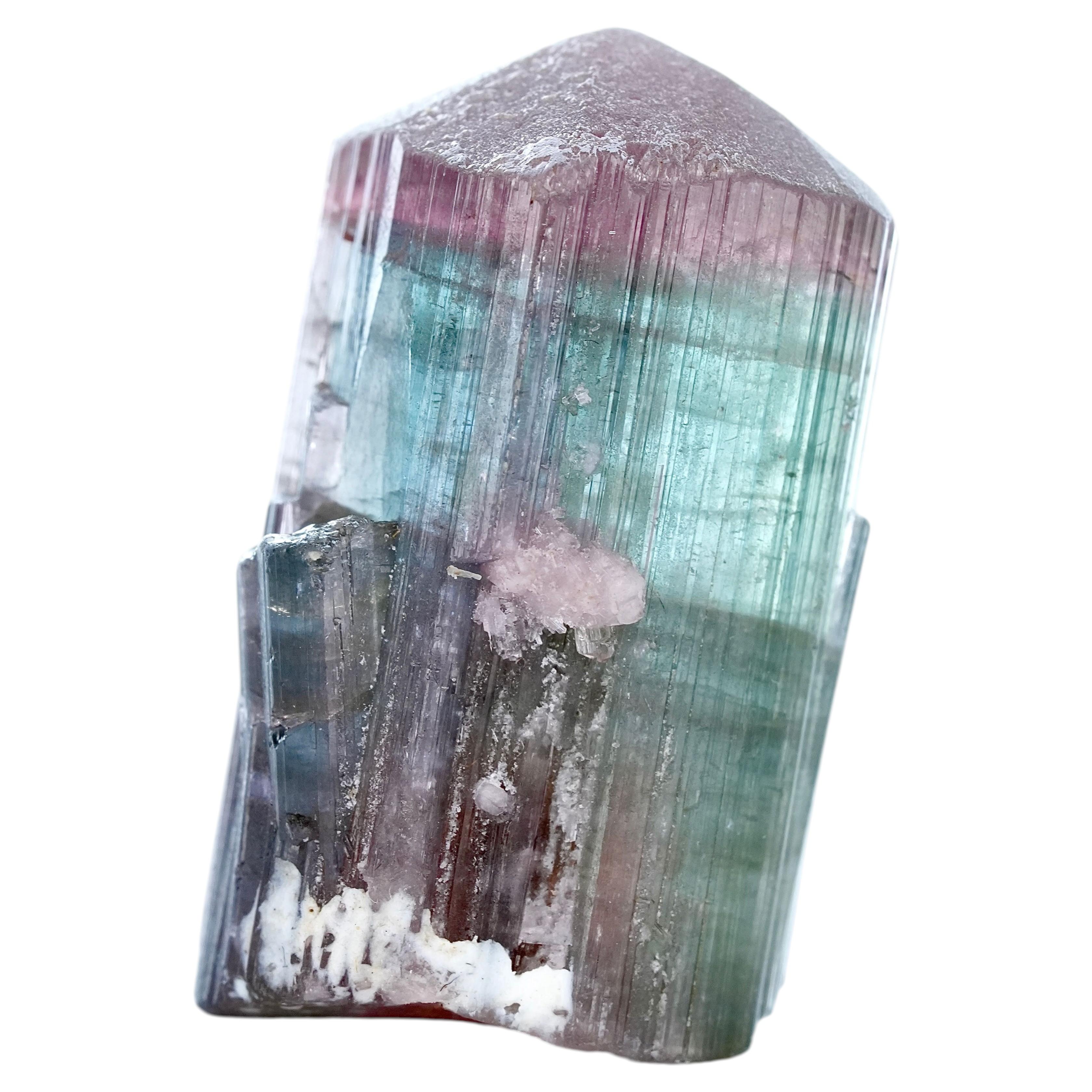 Natural Specimen Of Dark Bicolor Tourmaline Crystal From Afghanistan