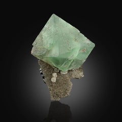 Natural Specimen Of Fluorite On Muscovite From Pakistan