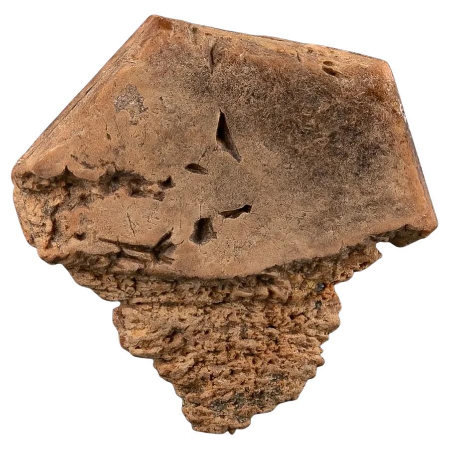 Espécimen Natural De Cristal De Bastnasita Dorada De Pakistán