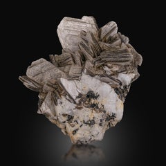 Natural Specimen Of Muscovite With Garnet Crystals From Pakistan