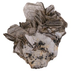 Natural Specimen Of Muscovite With Garnet Crystals From Pakistan