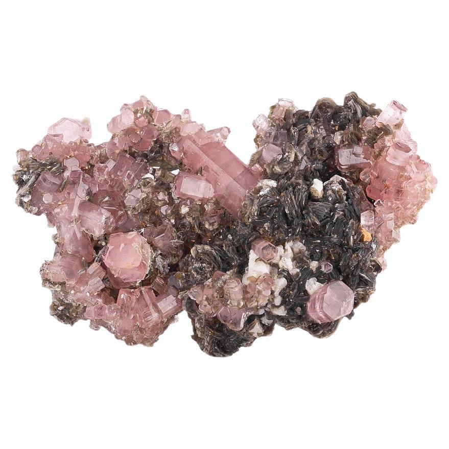 Natural Specimen Of Pink Apatite Cluster On Muscovite From Pakistan