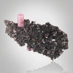 Natural Specimen Of Pink Apatite Crystal On Muscovite From Pakistan
