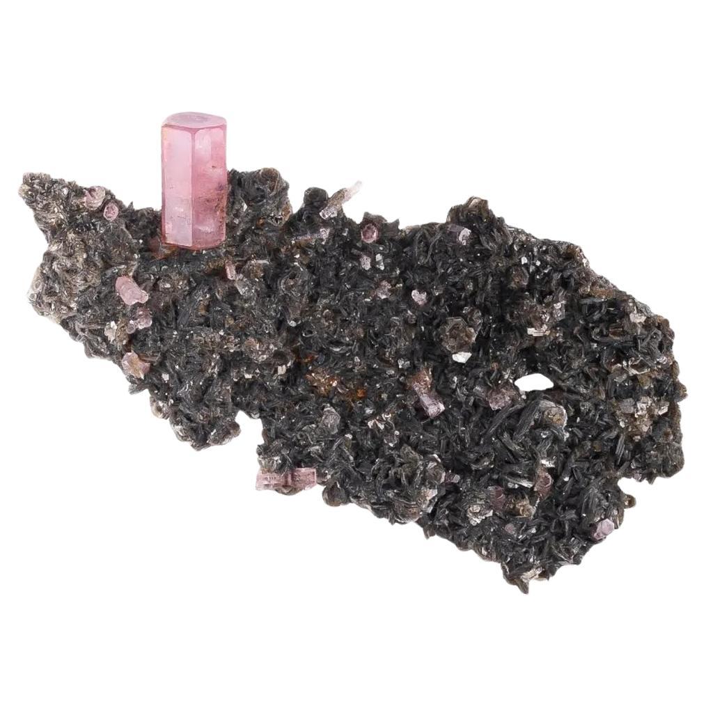 Natürliches Exemplar von rosa Apatit-Kristall auf Muskovit aus Pakistan