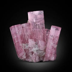 Natural Specimen Of Pink Tourmaline Cluster From Afghanistan