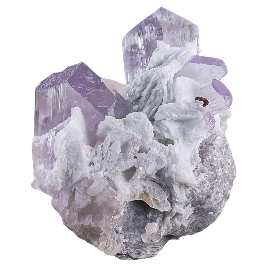 Esemplare naturale di cristalli di Kunzite viola su Albite dall
Afghanistan