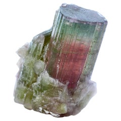 Naturbelassenes Exemplar eines seltenen zweifarbigen Turmalinkristalls aus Afghanistan