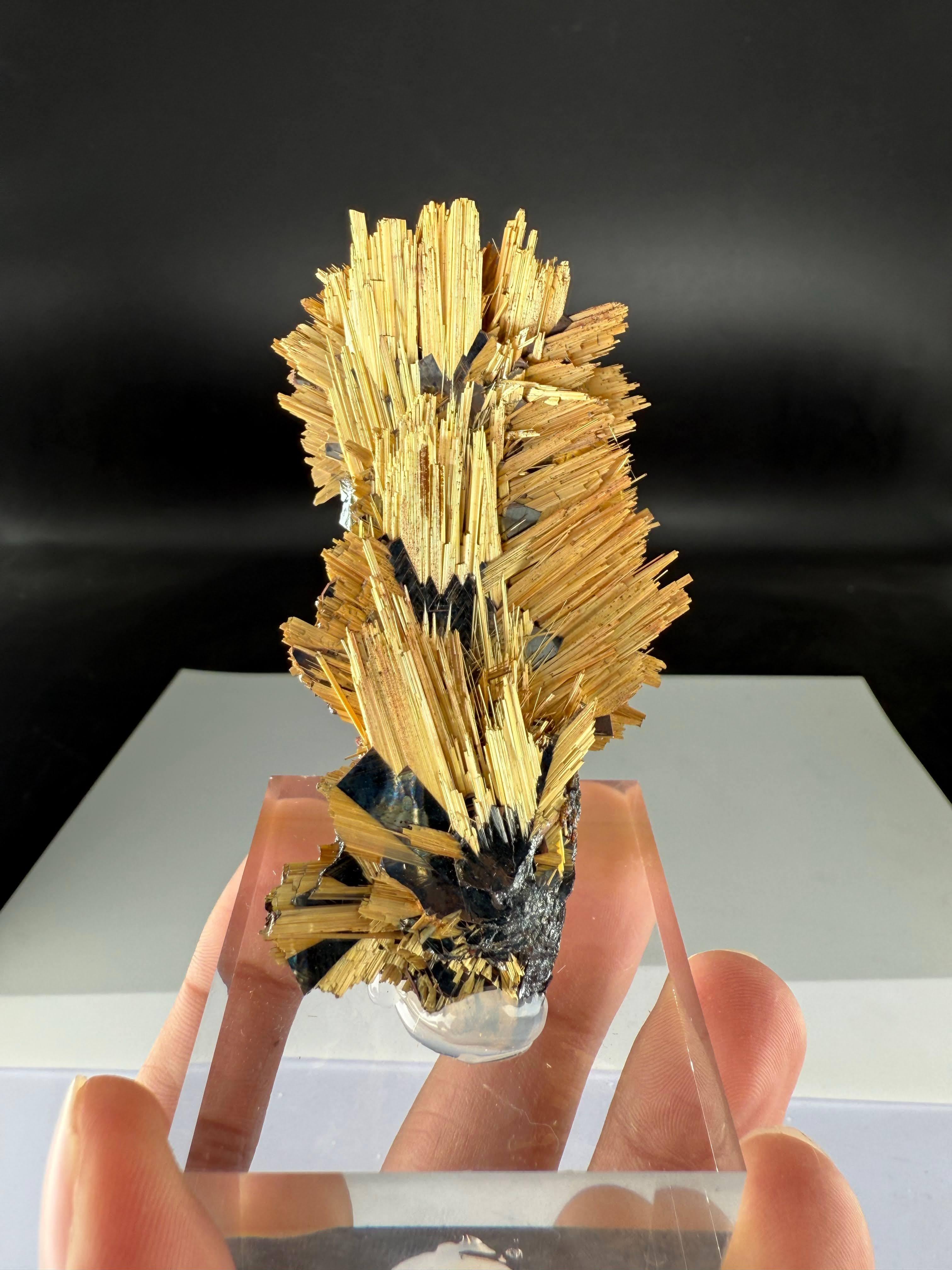 Espécimen Natural De Rutilo Raro Con Minerales De Hematites De Brasil en venta 3