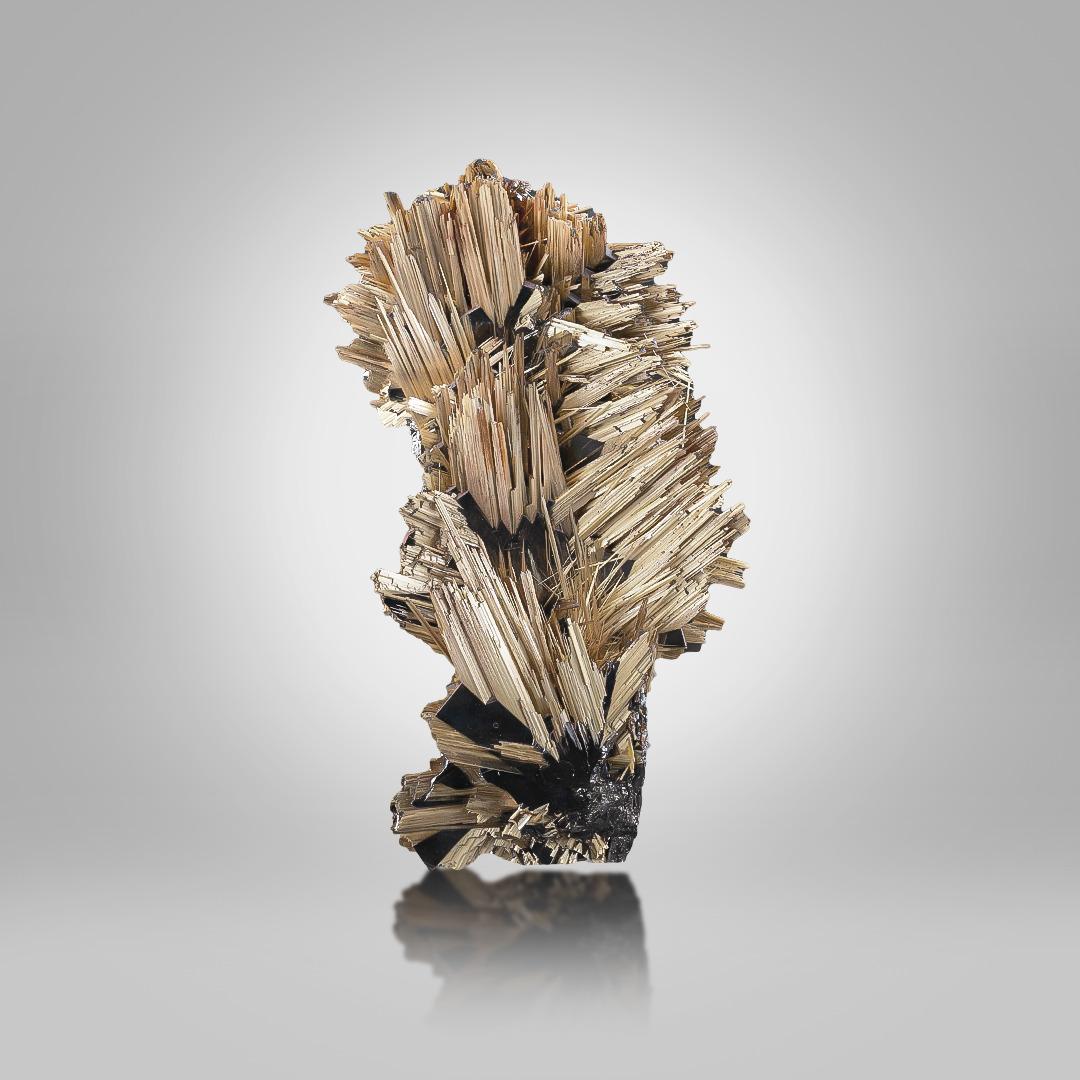 Tipo de espécimen: Rutilo con Hematites
Peso: 142 gramos
Dimensiones: 8,7 x An: 4,5 x Pr: 3,2 cm 
Origen: Horizonto, Bahía, Brasil 
Tratamiento: Ninguno




Este ejemplar natural de raro Rutilo con Hematites procedente de Brasil muestra una